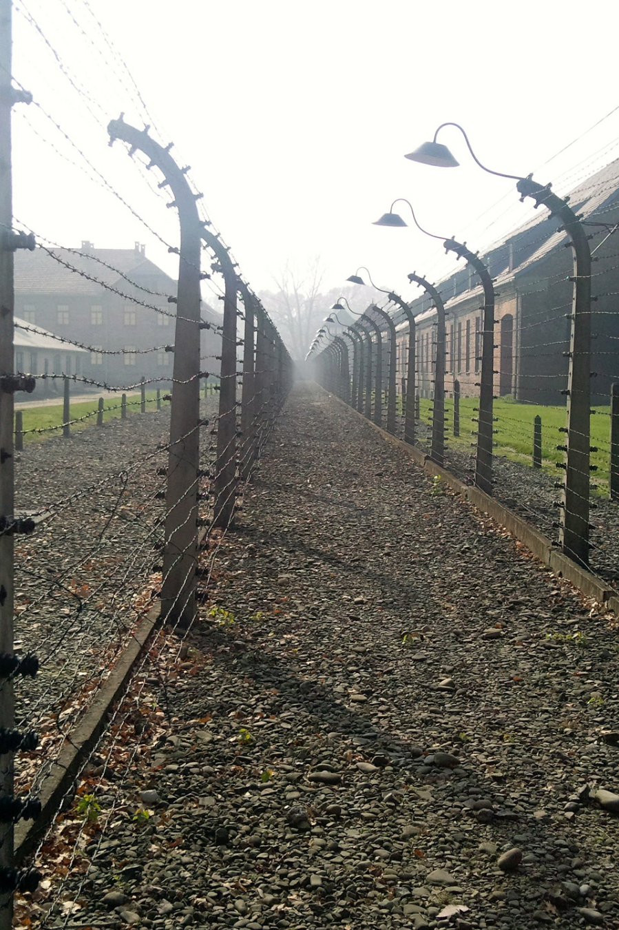 Main Image Supporting the Content of block-11-books